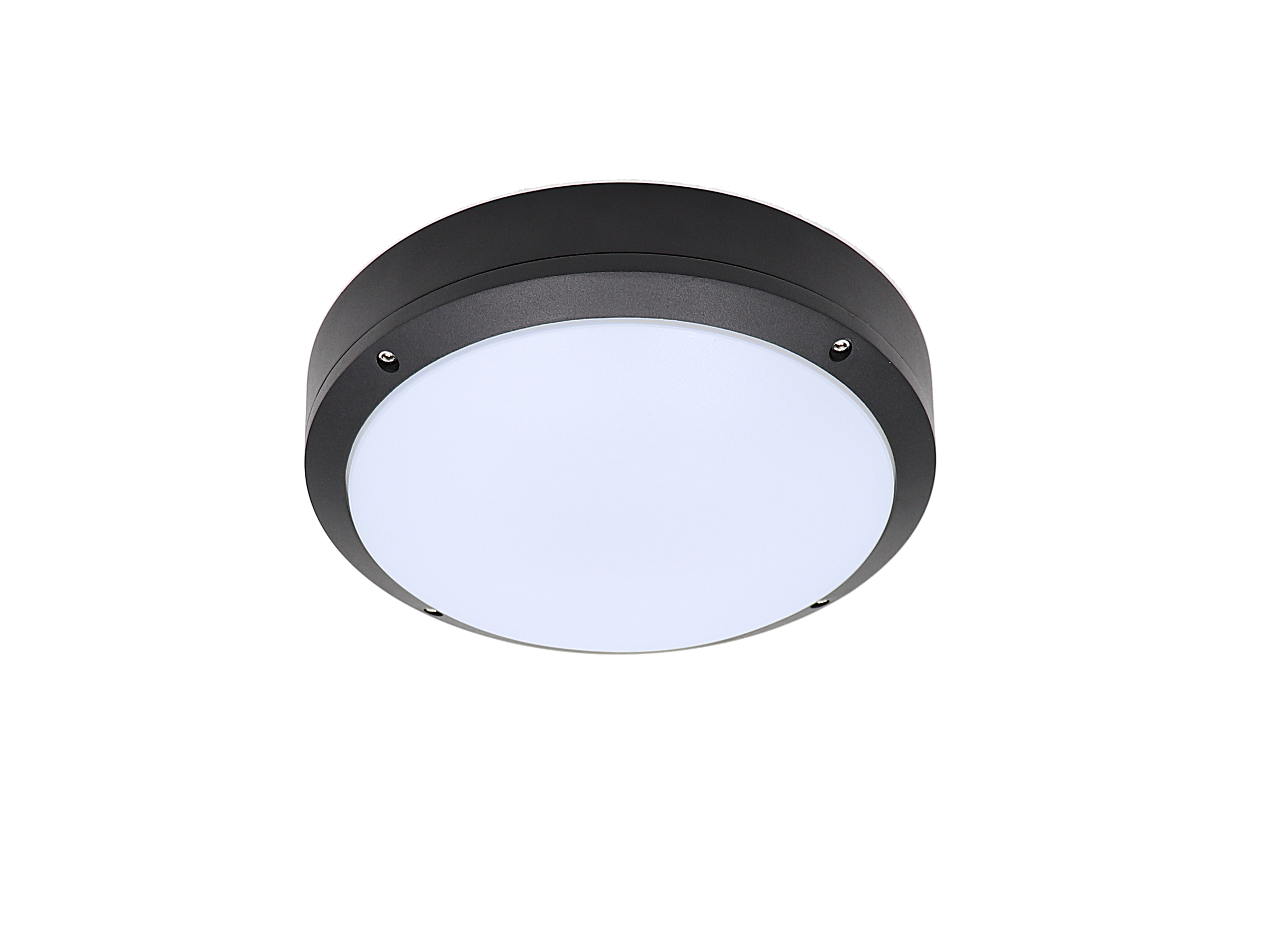 OTTO, Wall Mount