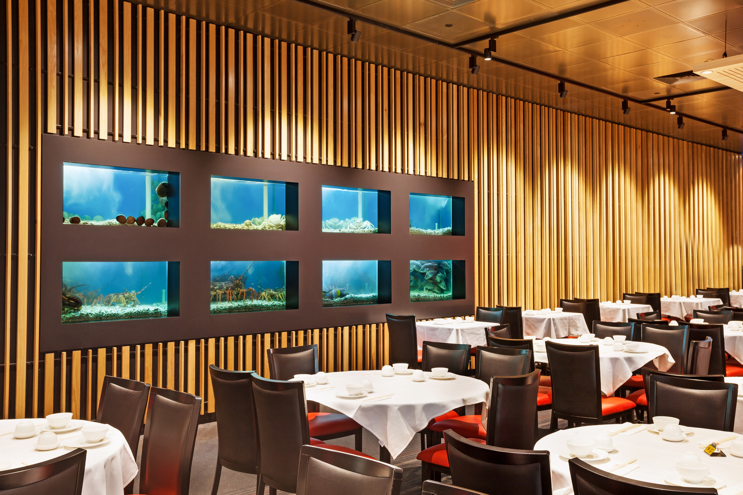A commercial space lit with SVL Lighting fixtures.